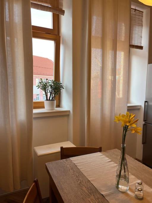 Apartman Pod Valdickou Branou Jičín エクステリア 写真